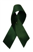 DSP Ribbon